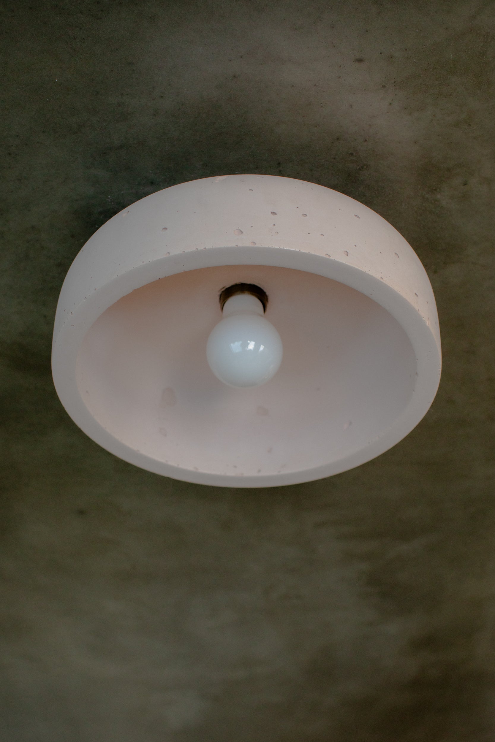 Medium Hakea Ceiling Light