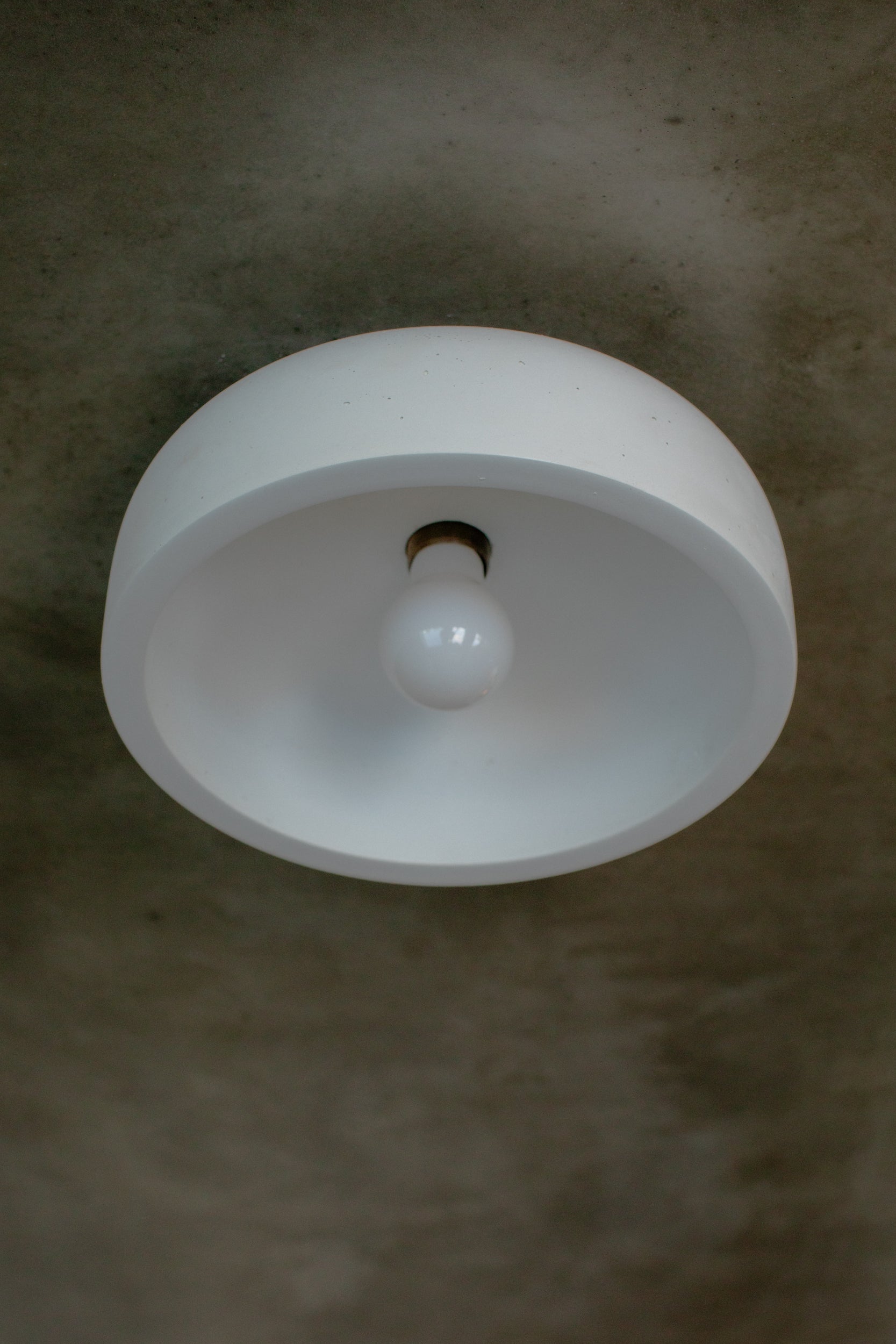 Medium Hakea Ceiling Light