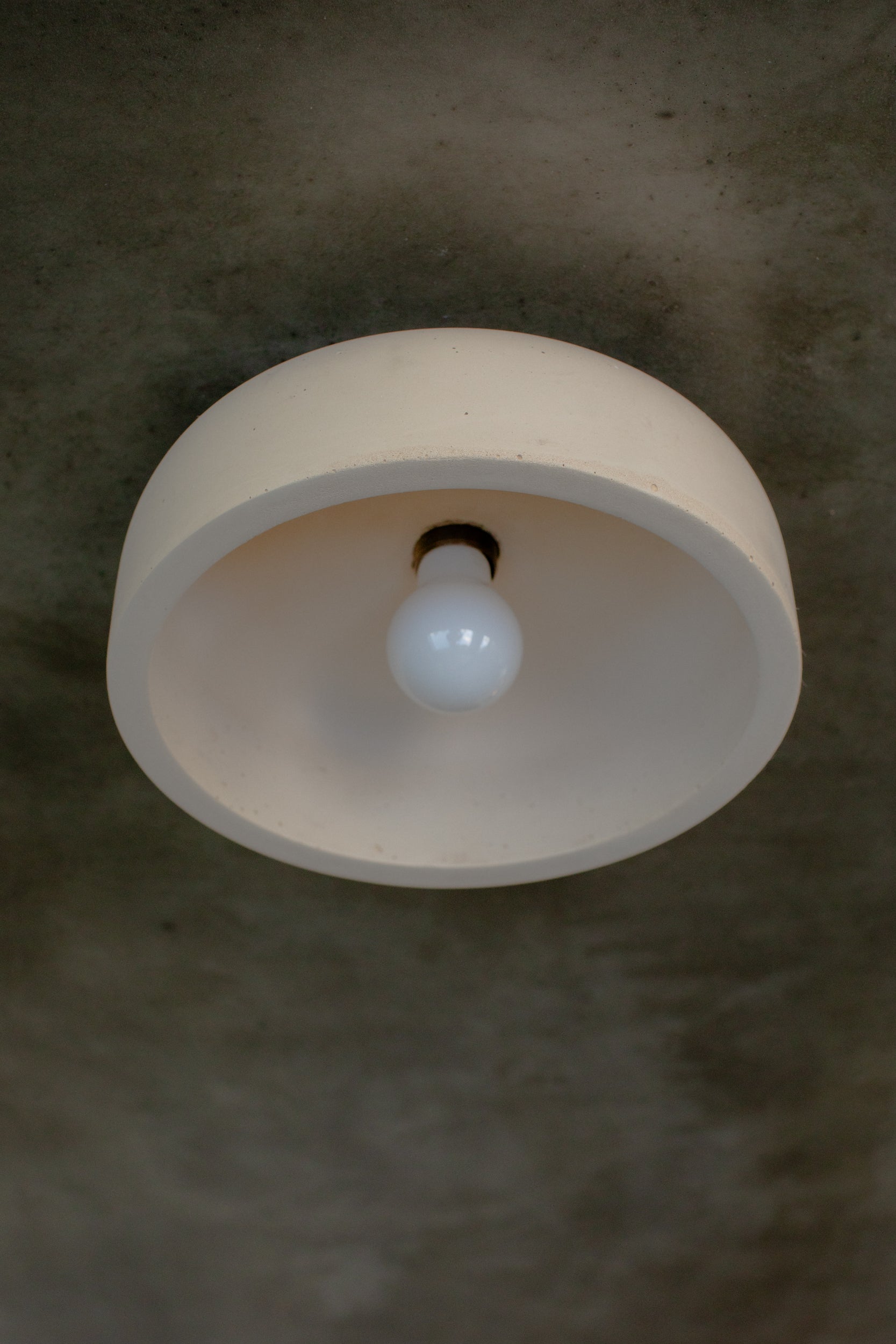 Medium Hakea Ceiling Light