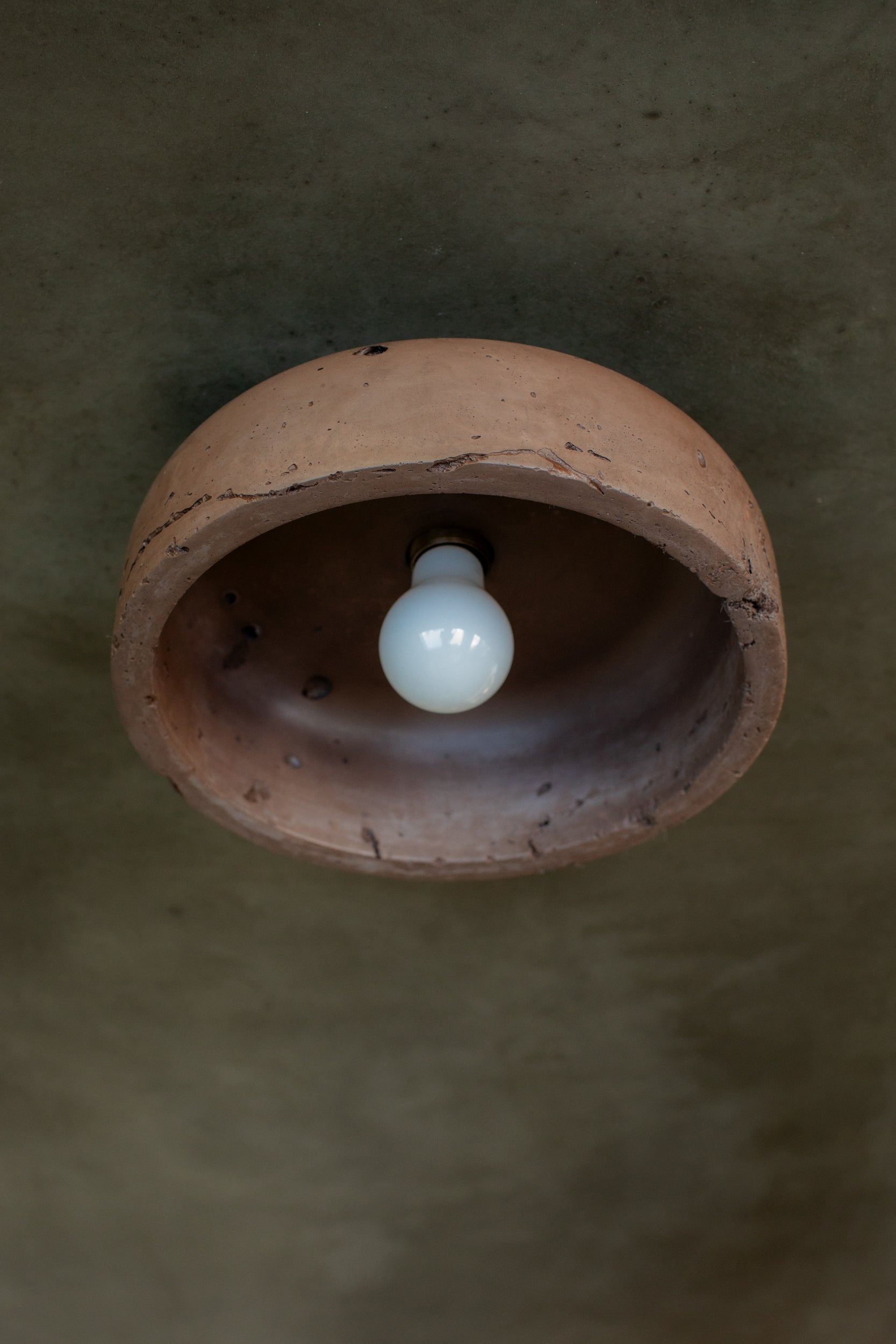 Medium Hakea Ceiling Light