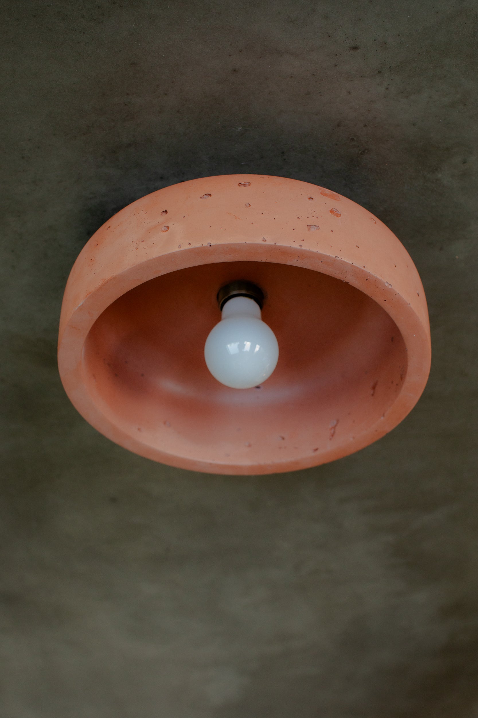 Medium Hakea Ceiling Light