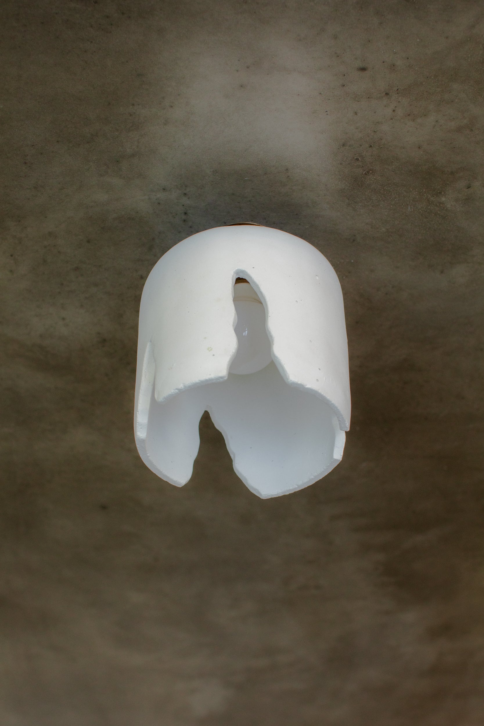 Wattle Ceiling Light