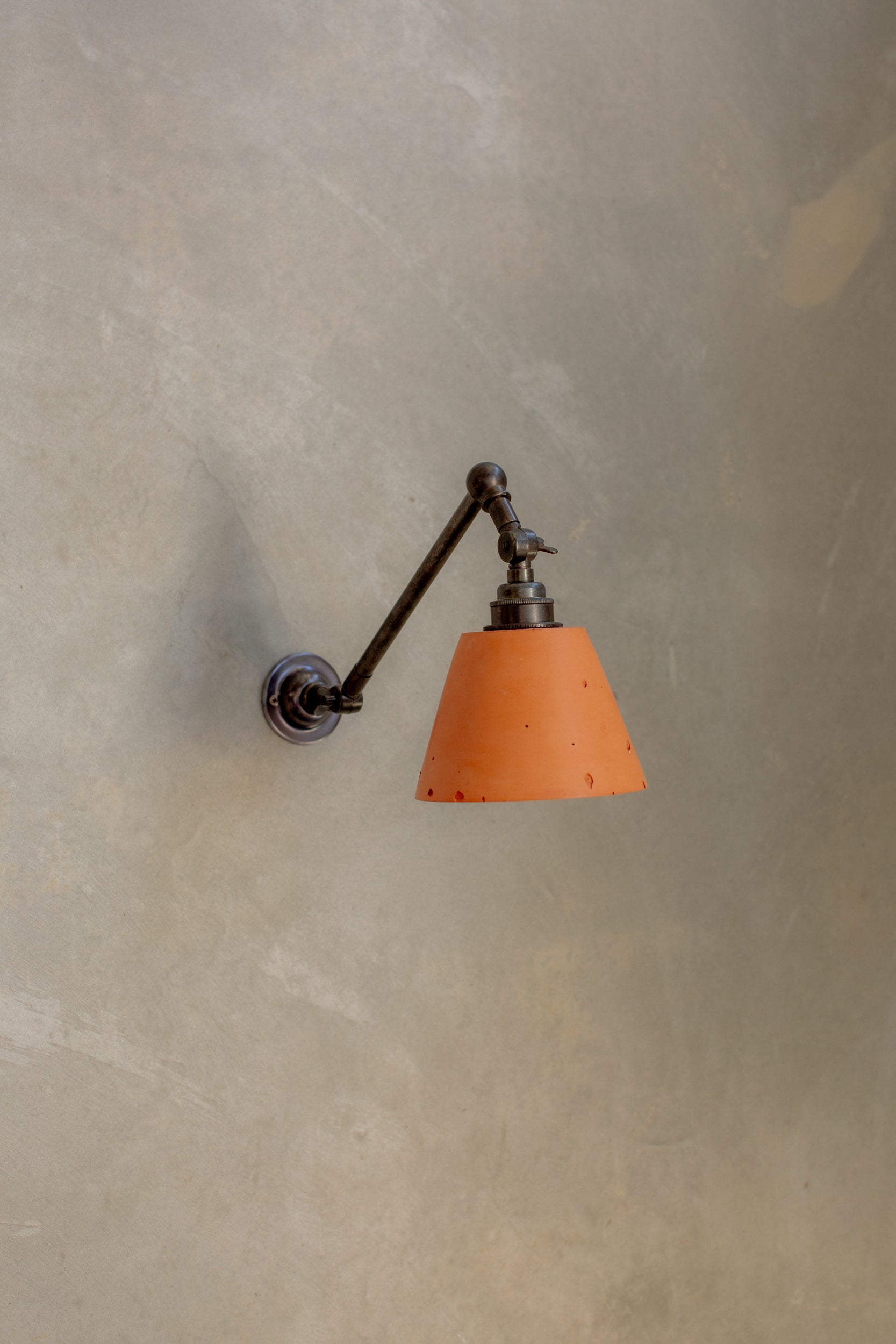 Mod wall light with arm