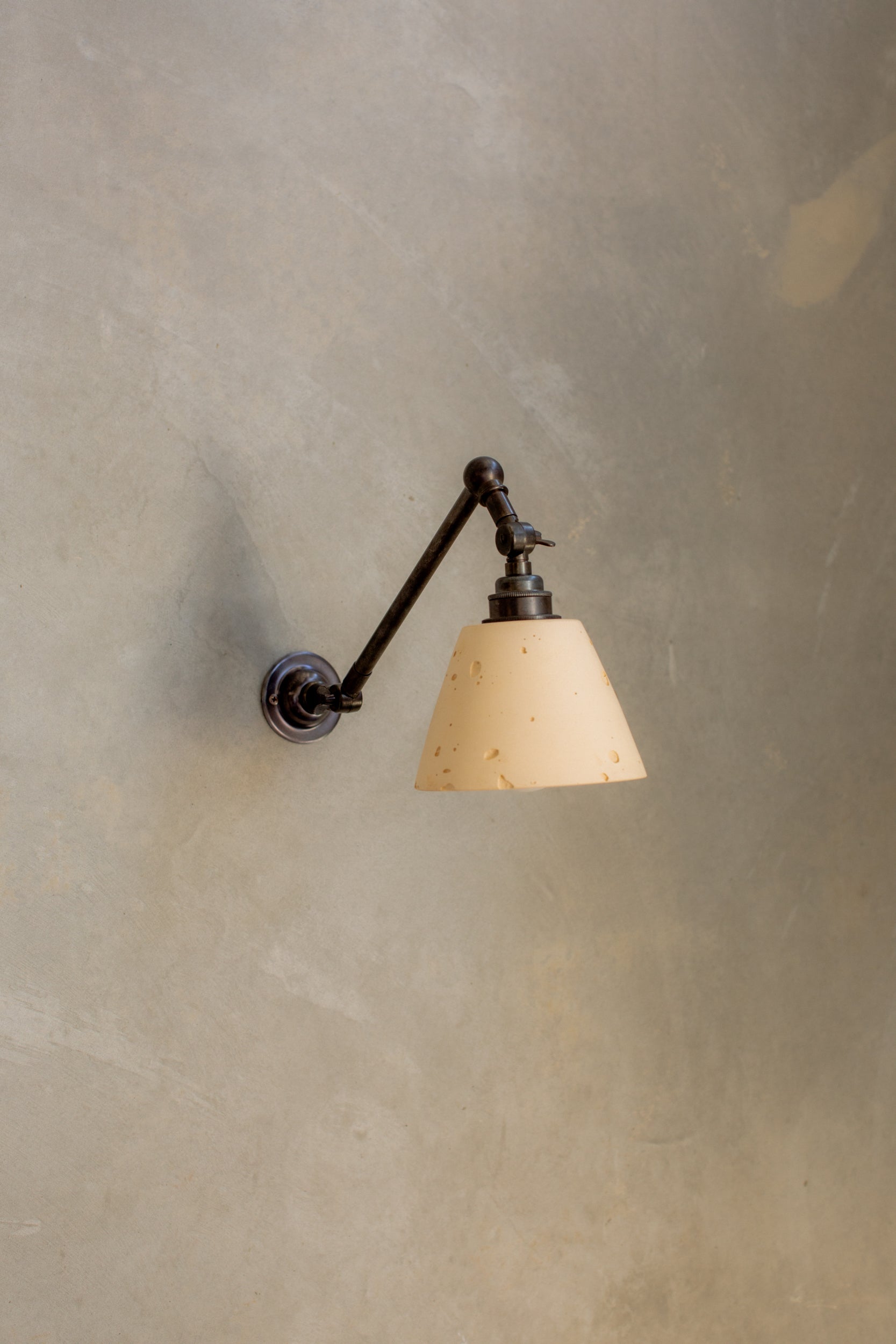 Mod wall light with arm