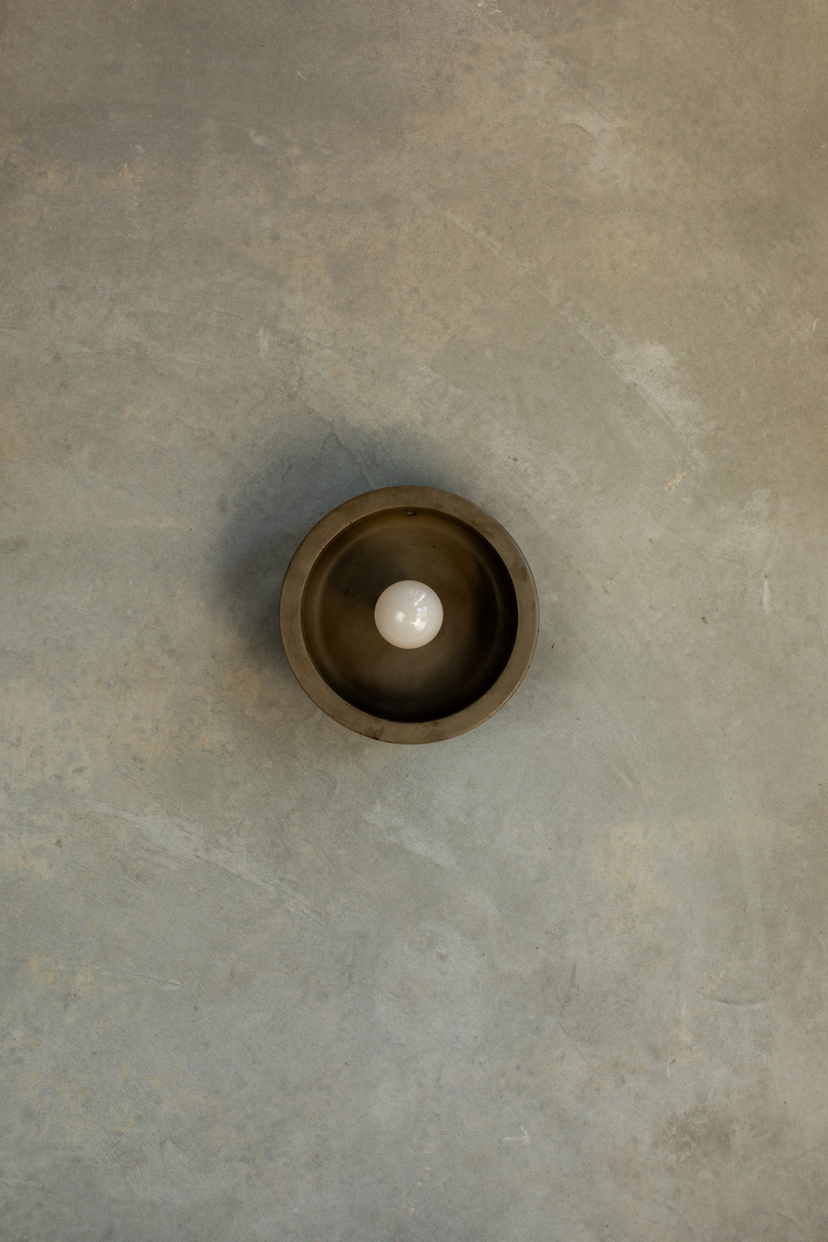 Small Hakea sconce