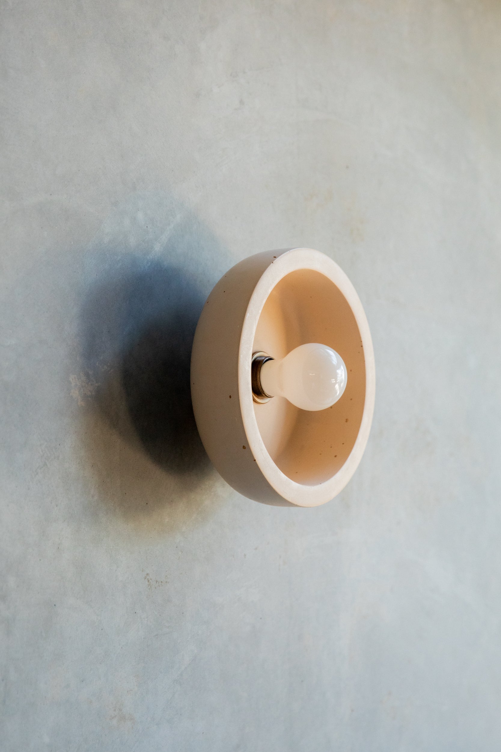 Small Hakea sconce