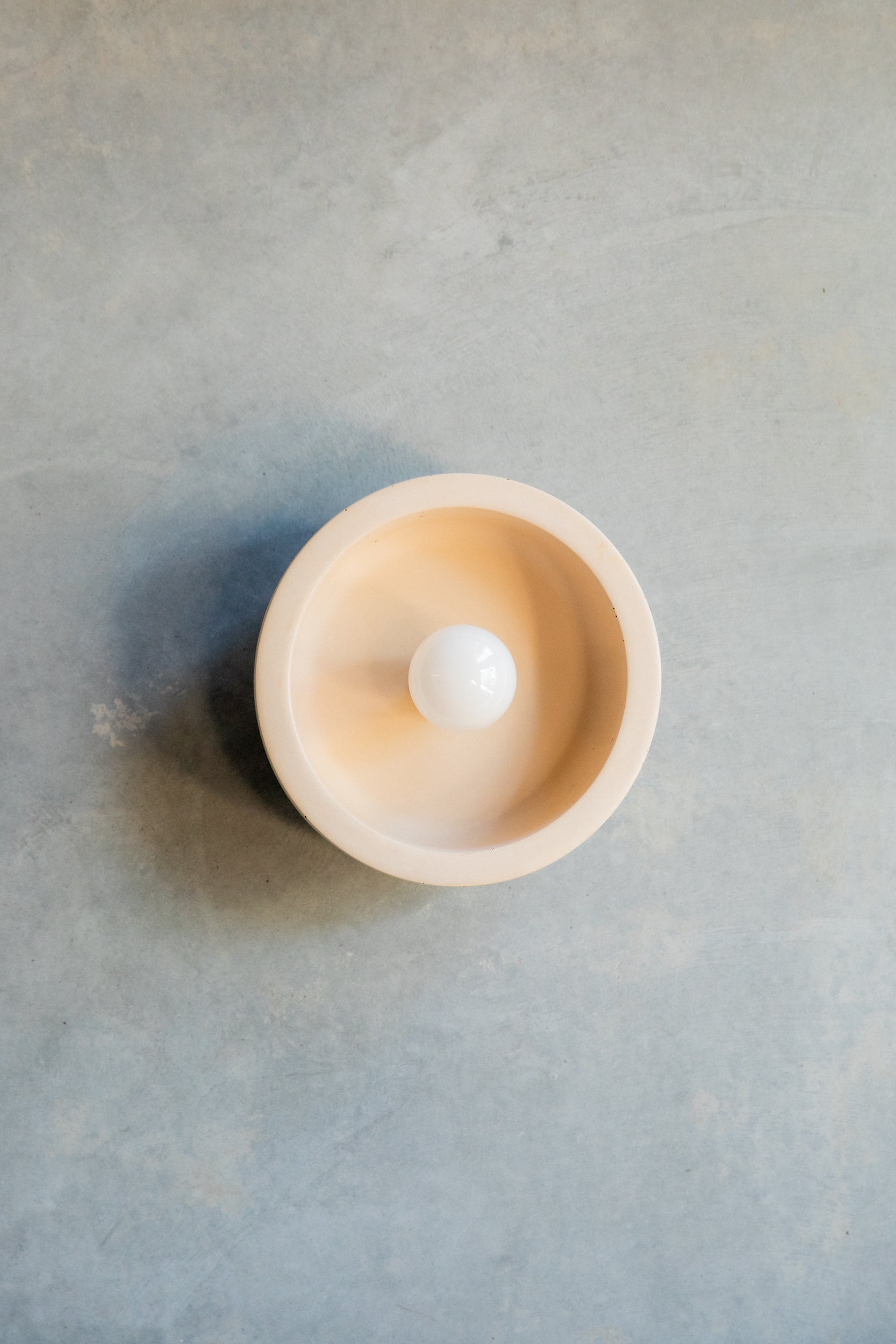 Small Hakea sconce