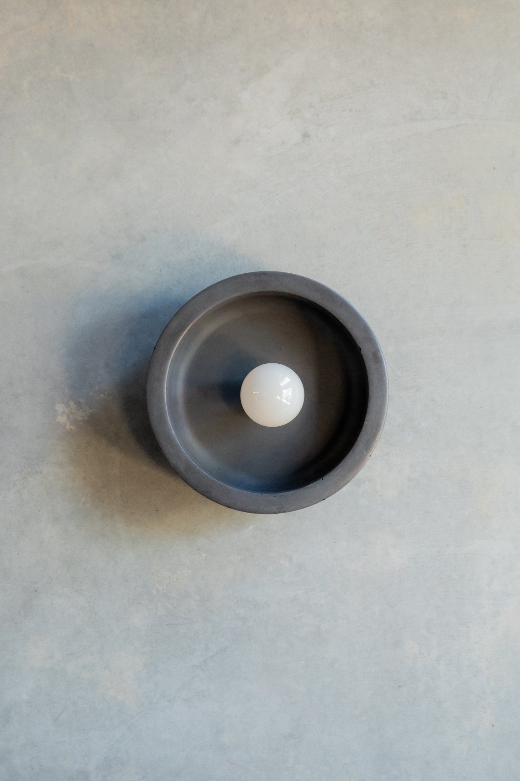 Small Hakea sconce