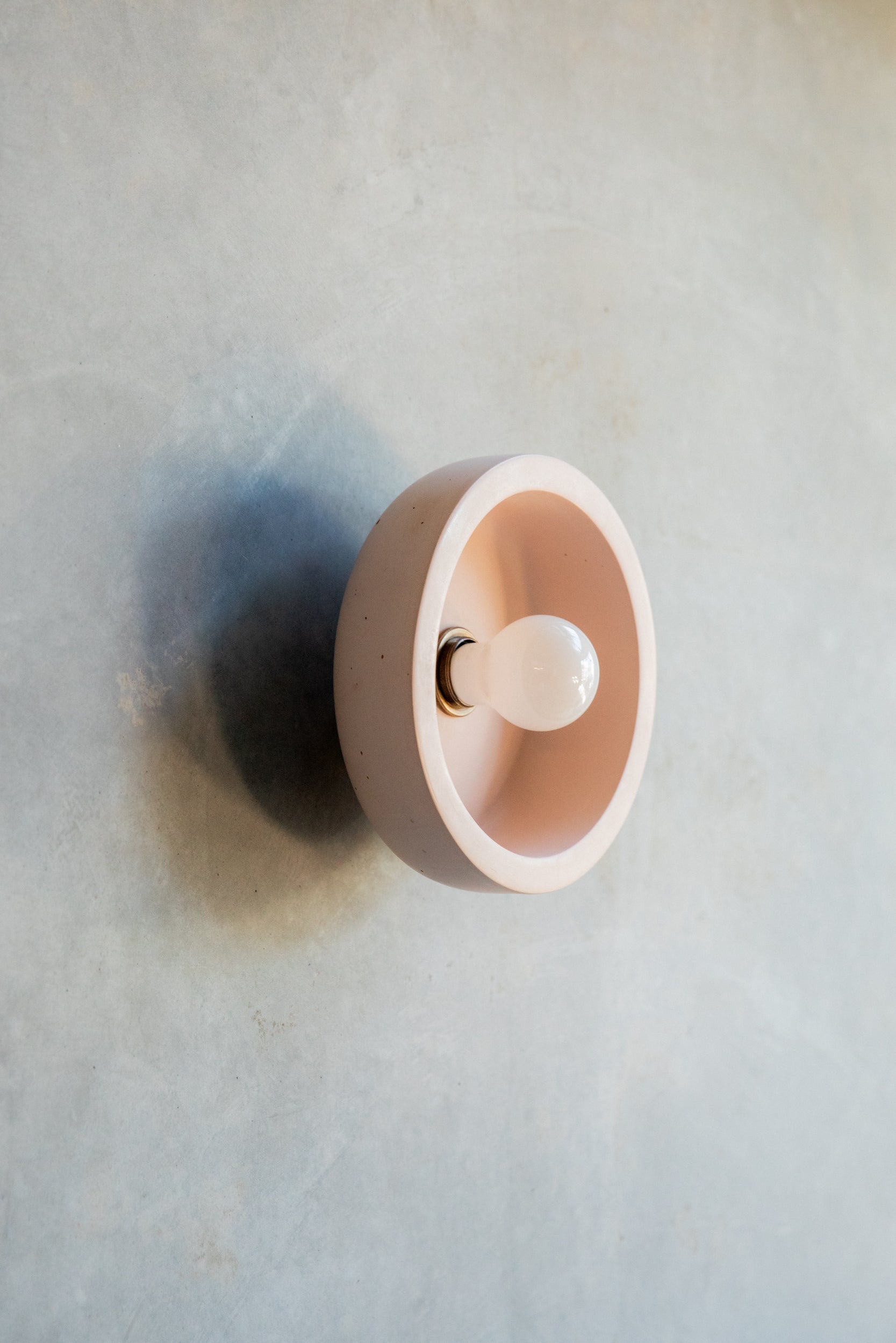 Small Hakea sconce