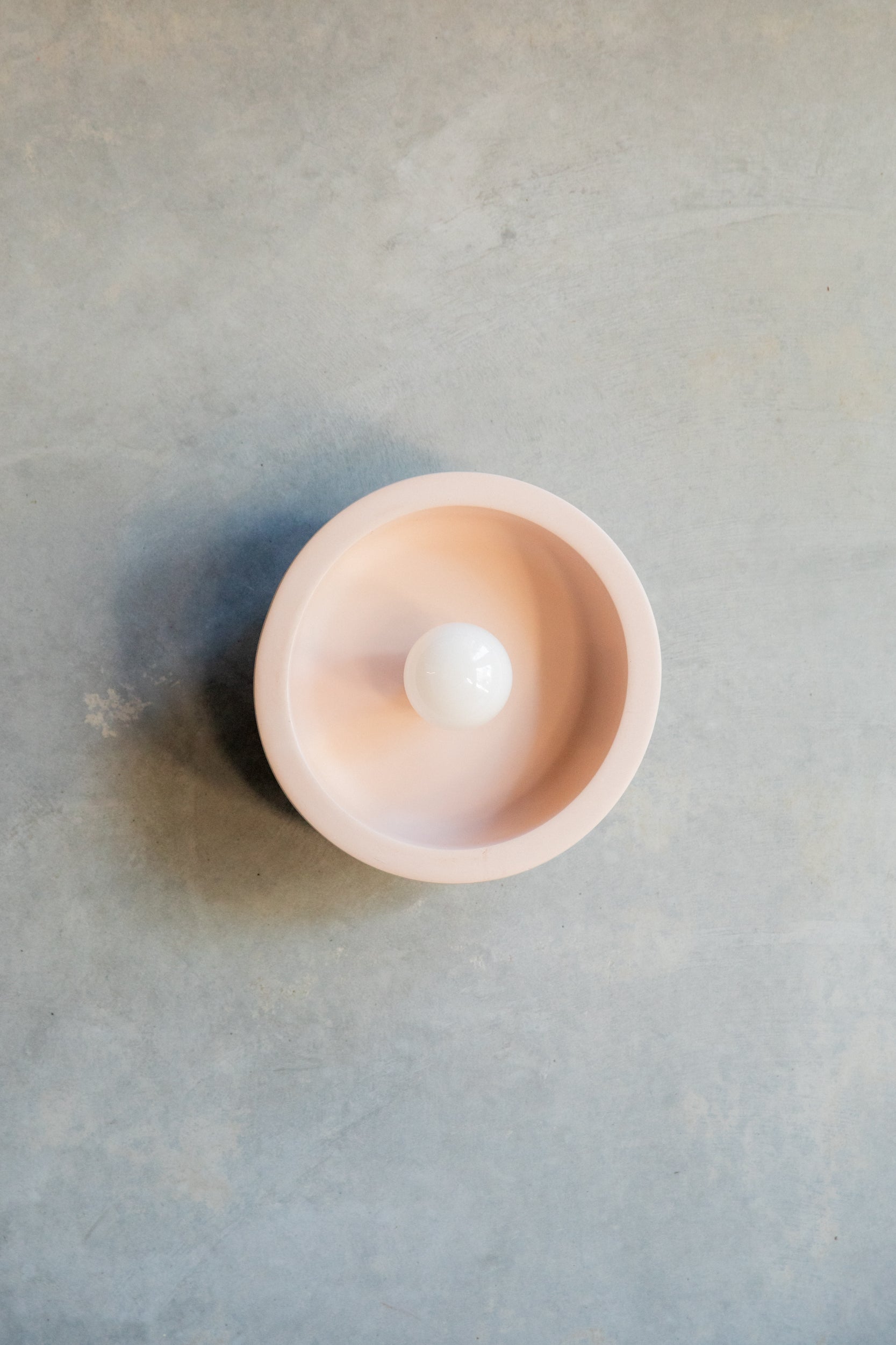 Small Hakea sconce
