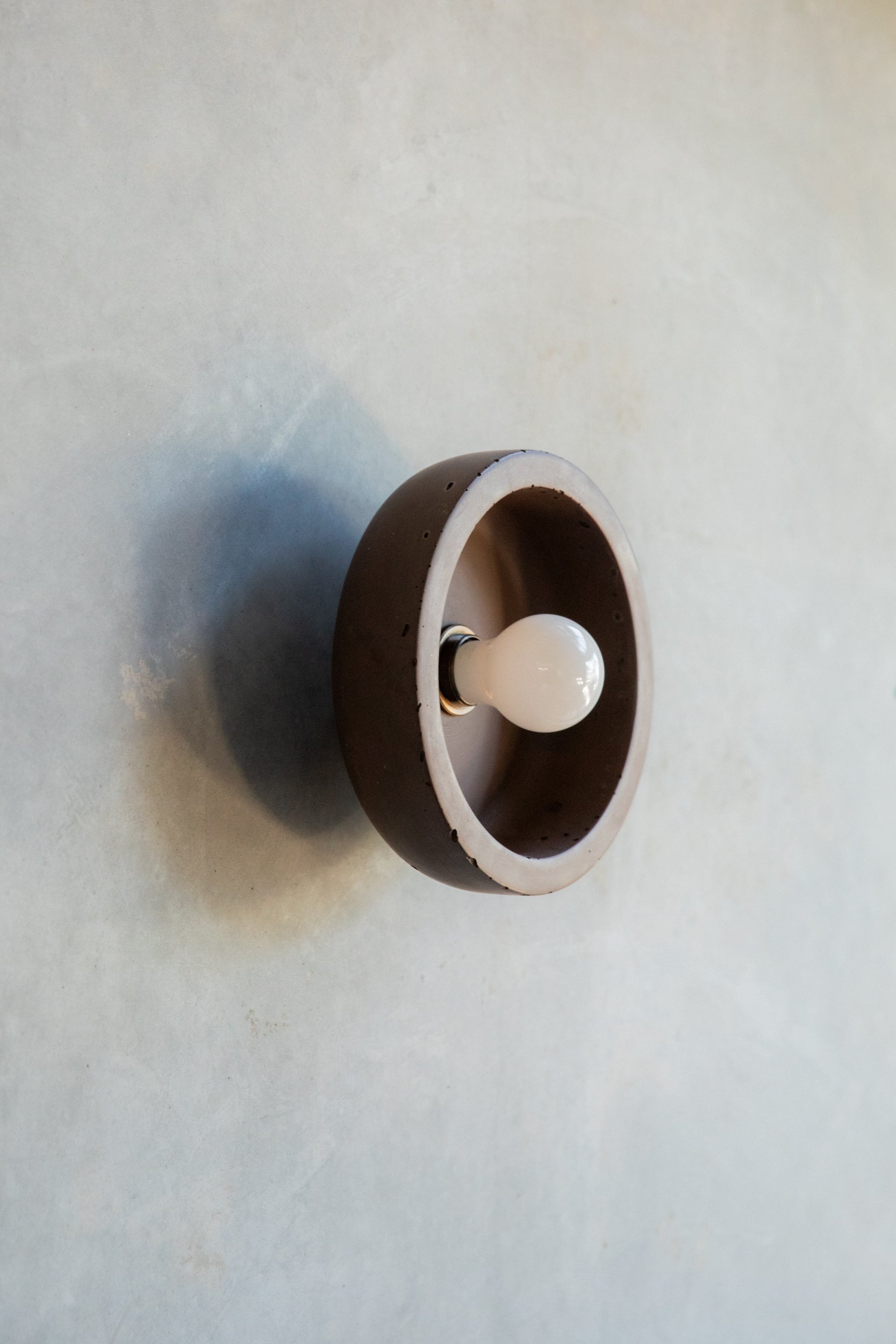 Small Hakea sconce