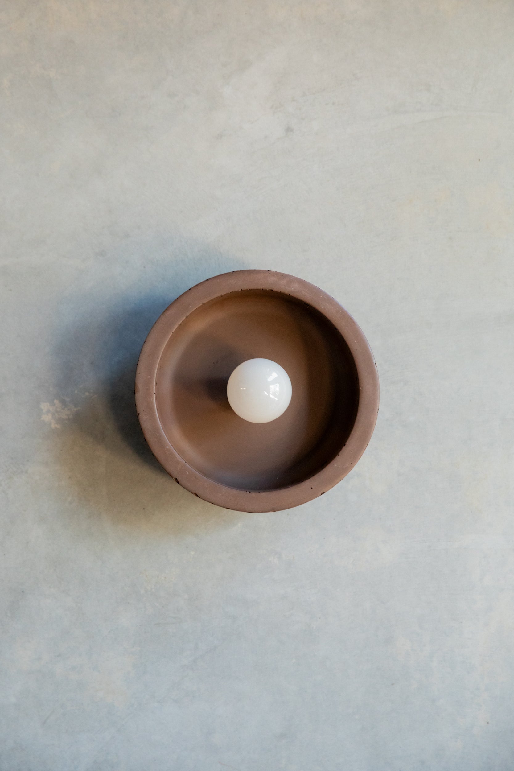 Small Hakea sconce