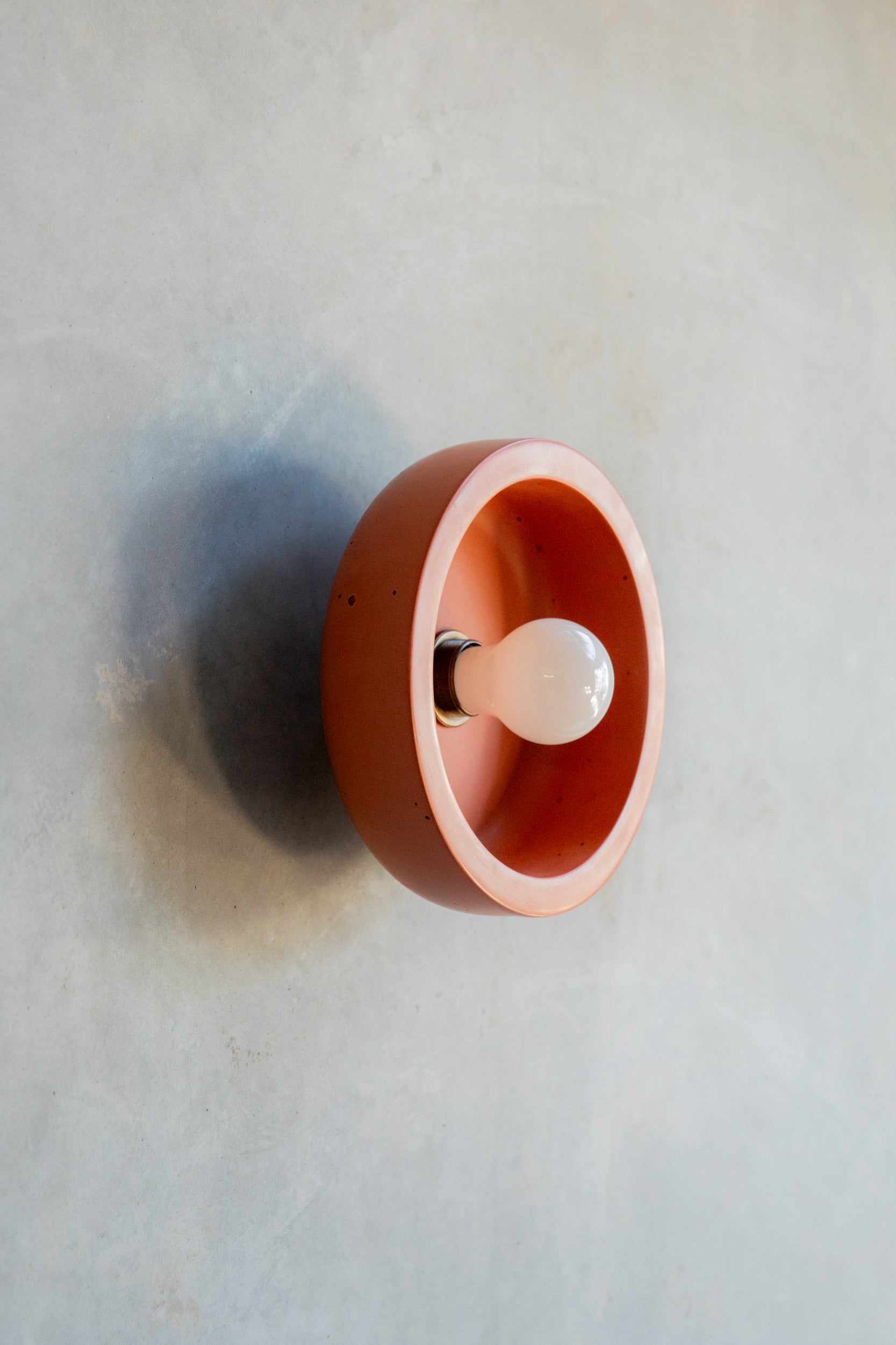 Small Hakea sconce