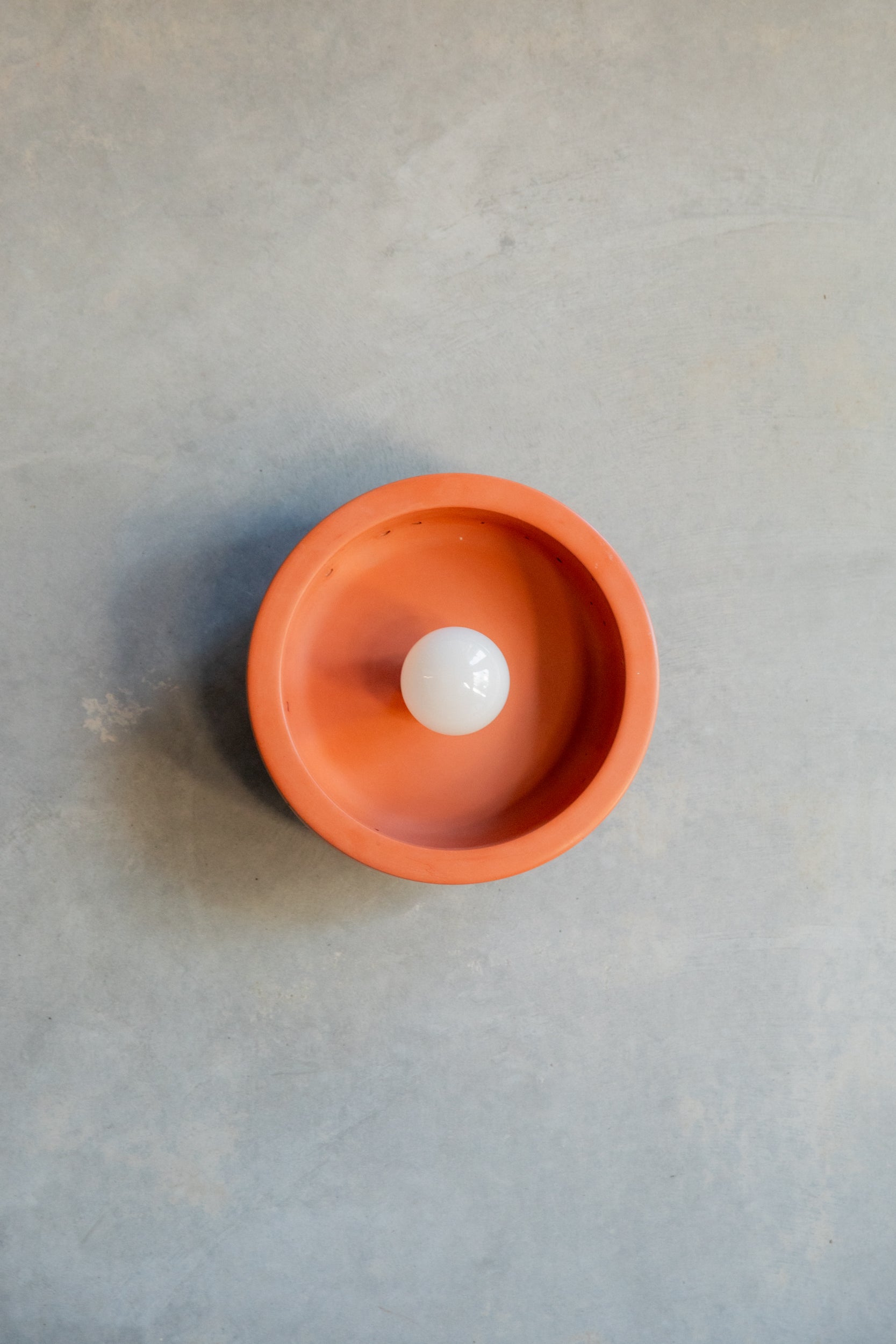 Small Hakea sconce
