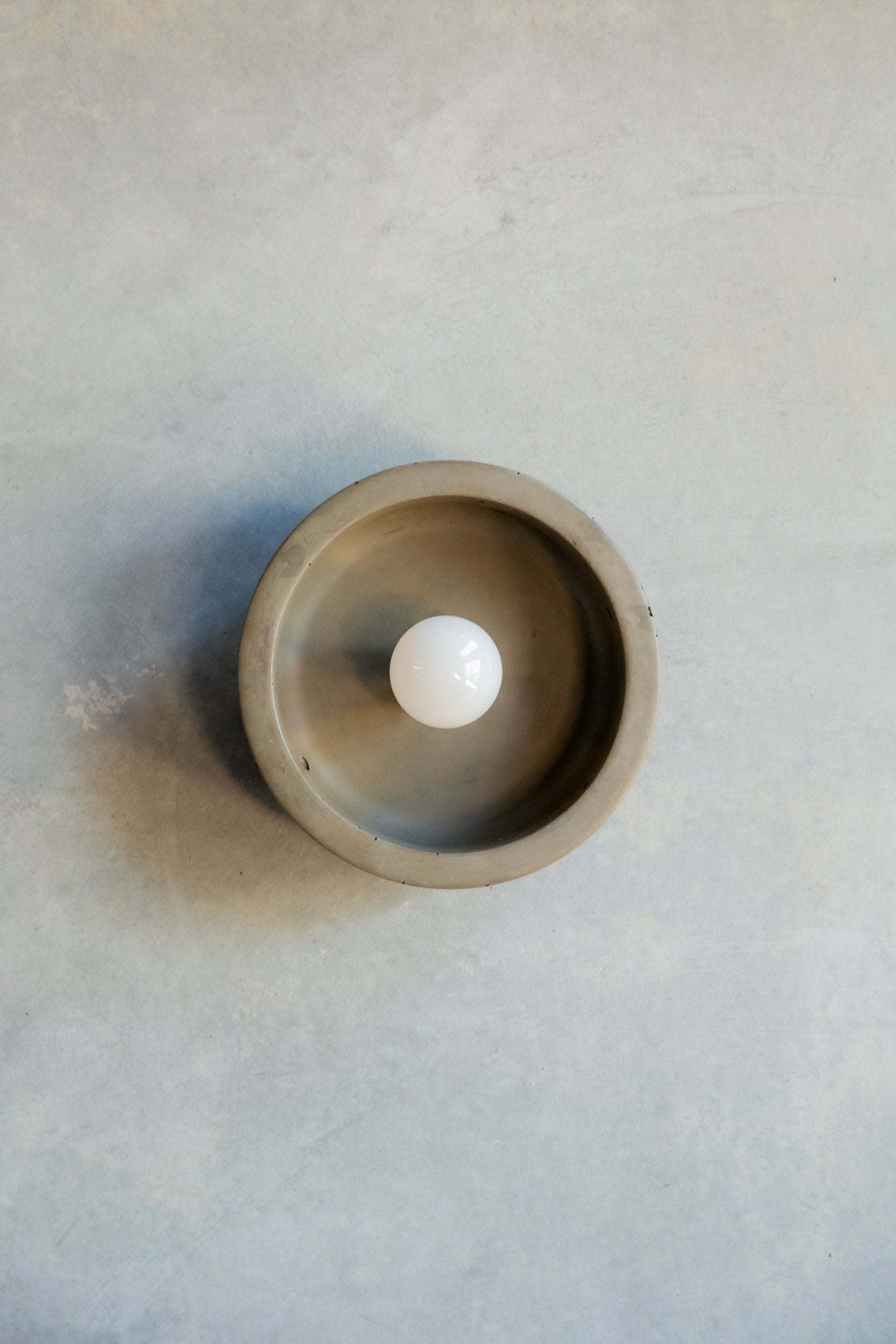 Small Hakea sconce