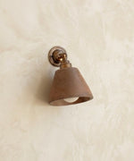Mod wall light with knuckle